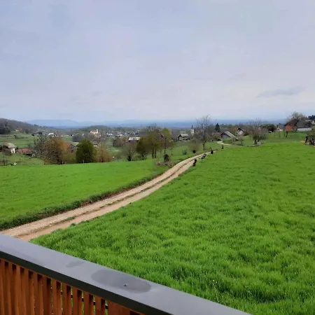 In Kranjska Krain 42896 Ferienhaus *